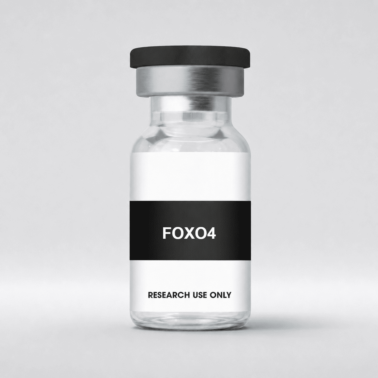 FOXO4-1 FOXO4